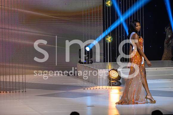 MissGAUSA2025-04428