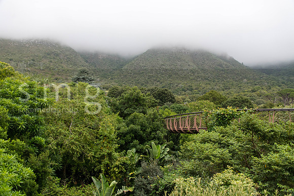 RCM_2218