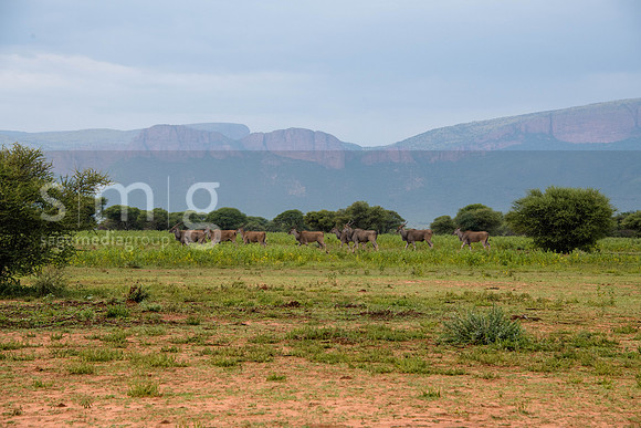 RCM_2478