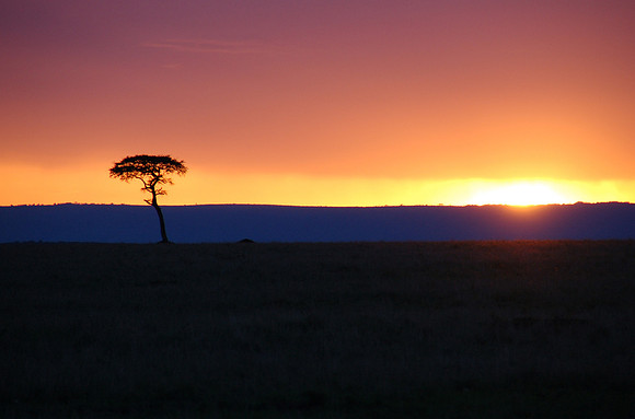 africa