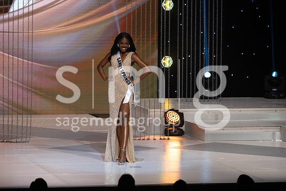 MissGAUSA2025-13036